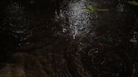 Raindrops fall into puddle Stock Footage 326310532