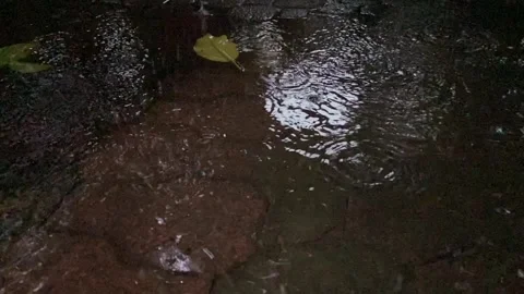 Raindrops fall into puddle Stock Footage 326310700