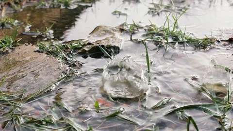 Raindrops fall in a puddle with grass in the summer Stock Footage 128303036