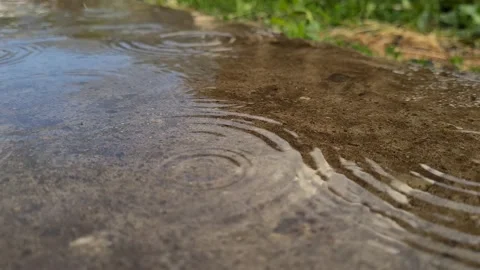 Raindrops fall on a puddle in which the sky is reflected Stock Footage 201804097