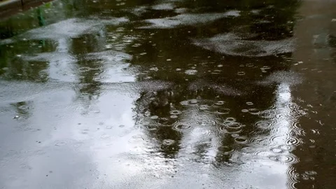 Raindrops fall in puddles on the asphalt, puddles on the sidewalk, splashes of Stock Footage 156703254