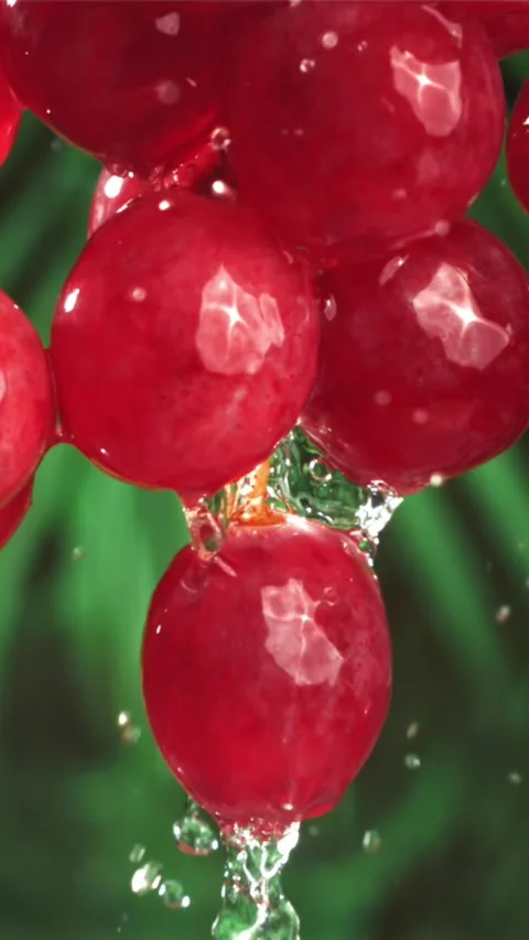 Raindrops fall on red grapes. Filmed on a high-speed camera at 1000 fps Stock Footage 335314509