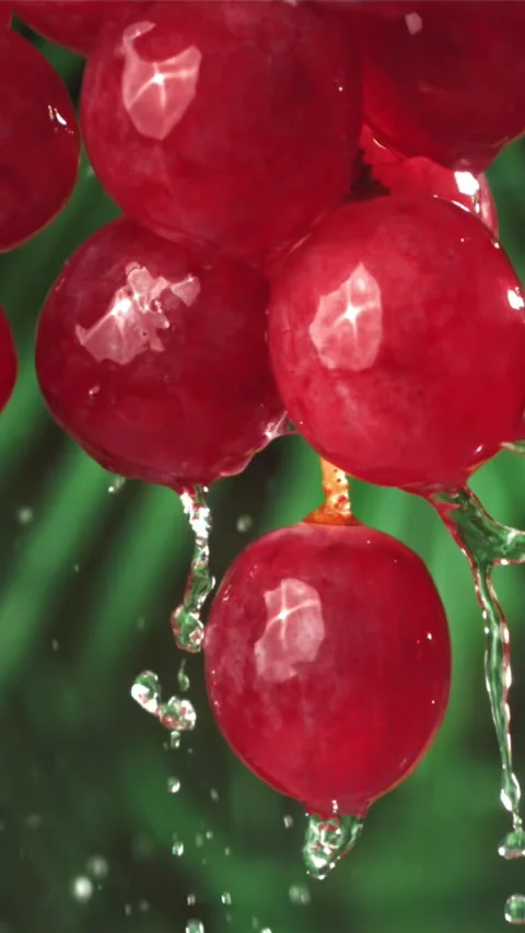 Raindrops fall on red grapes. Filmed on a high-speed camera at 1000 fps Stock Footage 335315029