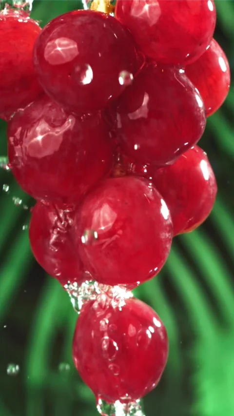 Raindrops fall on red grapes. Filmed on a high-speed camera at 1000 fps Stock Footage 335315807