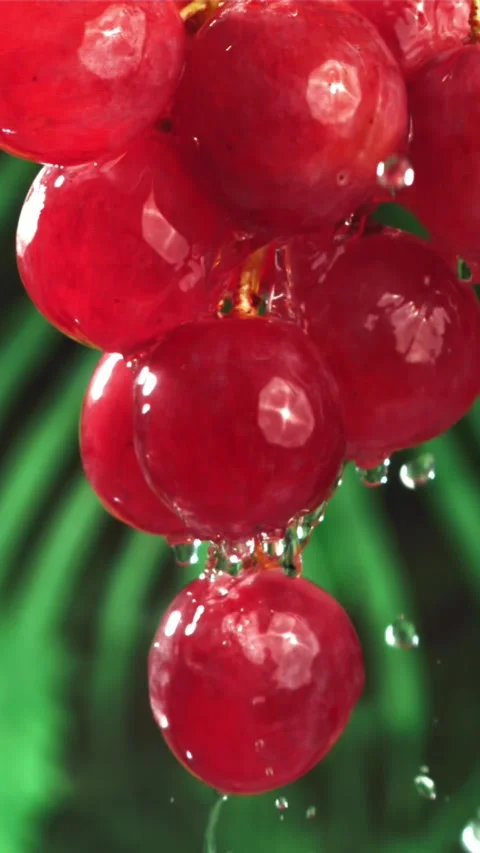 Raindrops fall on red grapes. Filmed on a high-speed camera at 1000 fps Stock Footage 335319712