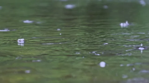 Raindrops Fall on the River Surface with Bubbles in Summer Slow Motion Stock Footage 253383237