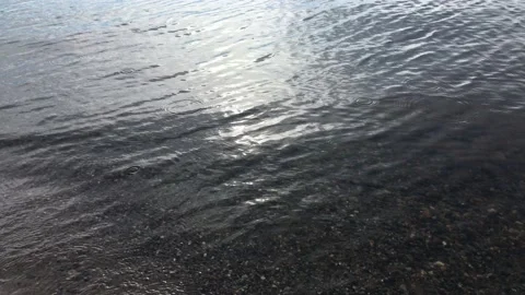 Raindrops fall on the river surface Stock Footage 156083608