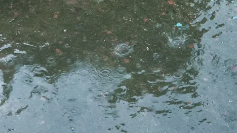 Raindrops fall on the road and the spray scatters in different directions. Stock Footage 242391421