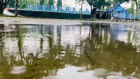 Raindrops fall on the road Stock Footage 221987425