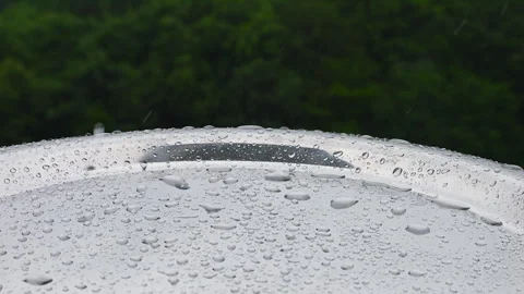 Raindrops fall on a silver metal salver against the background of green trees.  動画素材 313382041