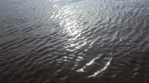 Raindrops fall on the surface of the river and the sun is shining Stock Footage 156380899