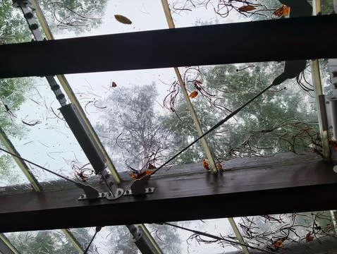 Raindrops fall through a greenhouse frame Fotos Stock