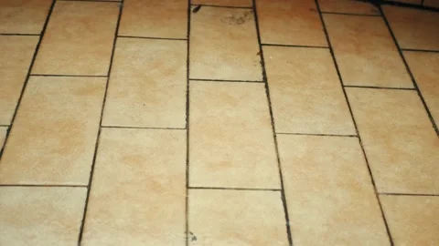 Raindrops fall on the tiled floor of the terrace Stock Footage 147653506