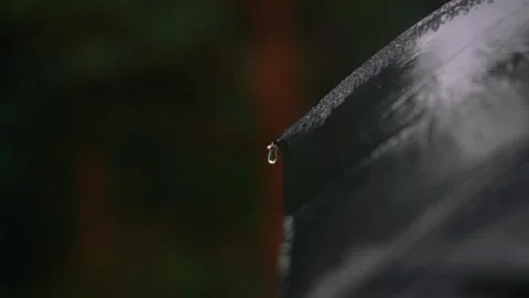 Raindrops fall on umbrella and flow down from it. rain on walk in park. closeup. Stock Footage 248018236