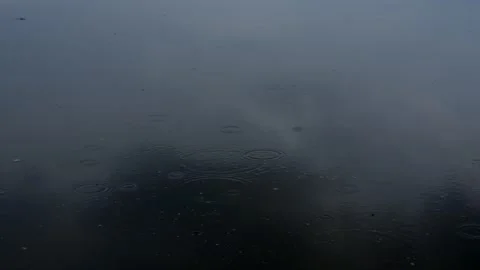 Raindrops fall on the water. Circles on water are formed from drops Stock Footage 305593420