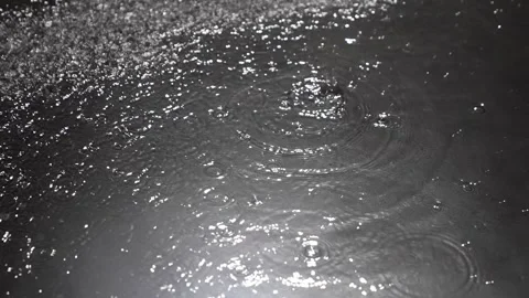 Raindrops fall into the water Stock Footage 288590043