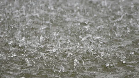 Raindrops fall into the water, a large puddle, rain on the pond, close-up Stock Footage 112305013