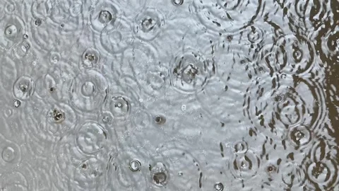 Raindrops fall into the water, into a puddle, disperse in circles, blow bubbles Stock Footage 346804815