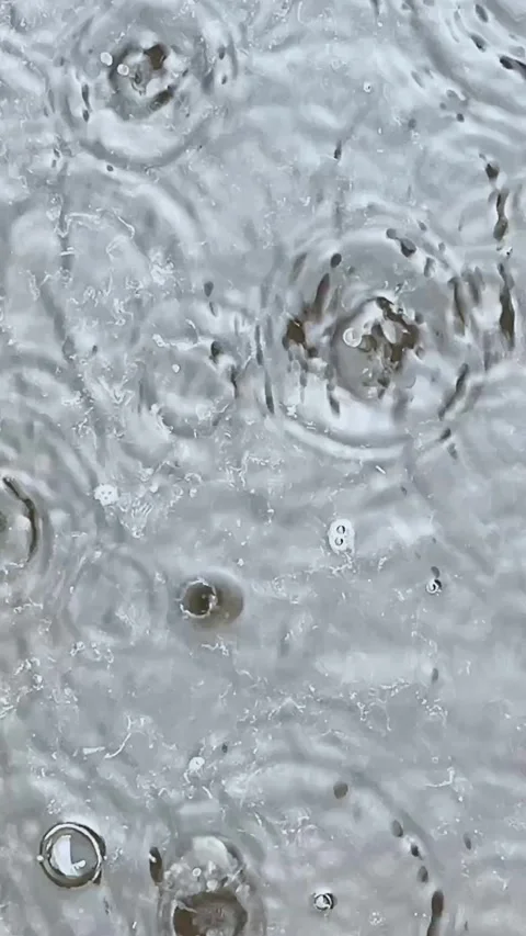 Raindrops fall into the water, into a puddle, disperse in circles, blow bubbles Stock Footage 348155455