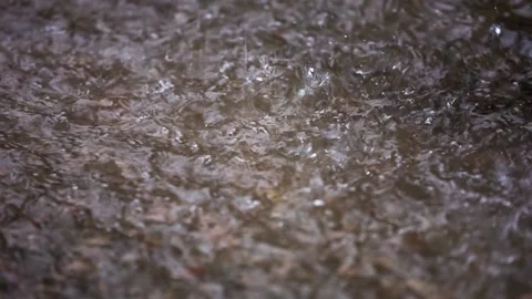 Raindrops fall into the water. Slow motion. Stock-Footage 85909095