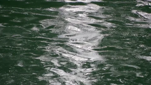 Raindrops fall on the water surface. 库存影片 154584668