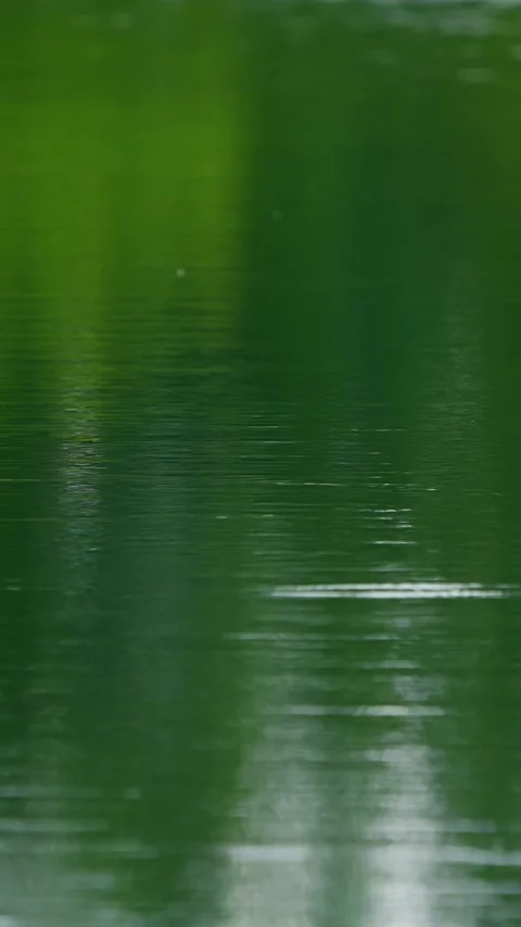 Raindrops fall on the water surface Stock Footage 335277125