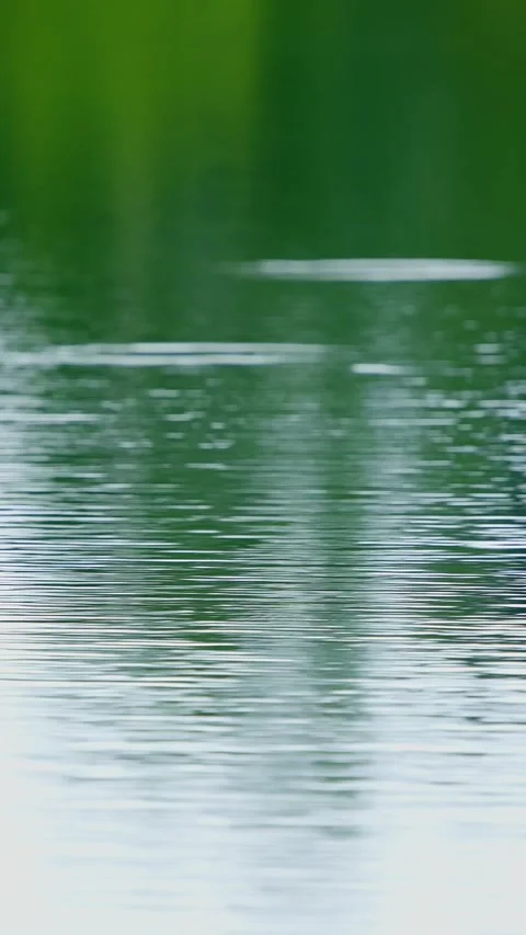 Raindrops fall on the water surface Stock Footage 335278563