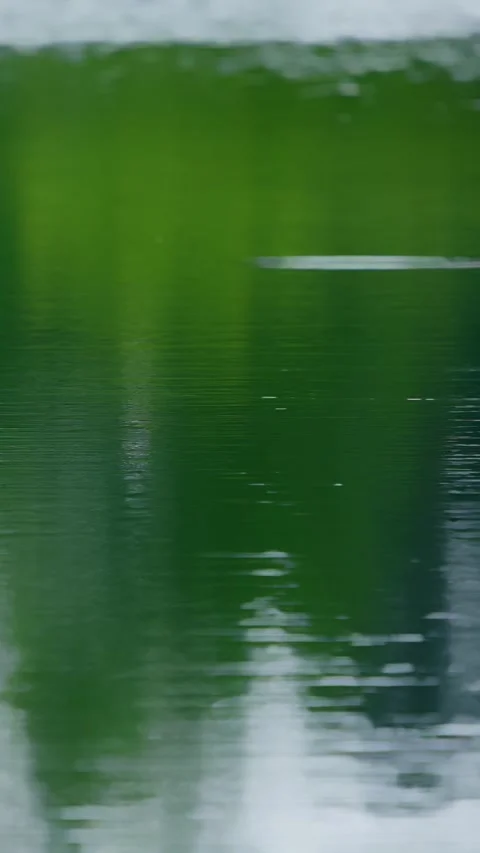 Raindrops fall on the water surface Stock Footage 335280976