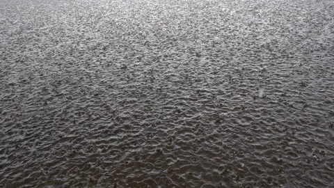 Raindrops fall on the water surface in slow motion. Video stock 158909907