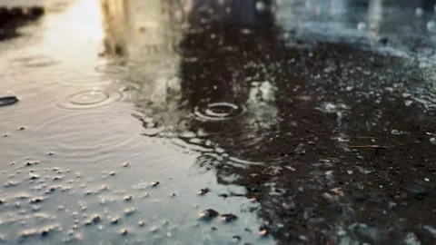 Raindrops fall on a wet asphalt surface forming ripples Stock Footage 311008758