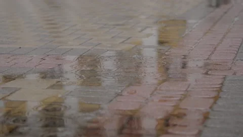 Raindrops fall on wet pavement with reflection. Stock Footage 165058030