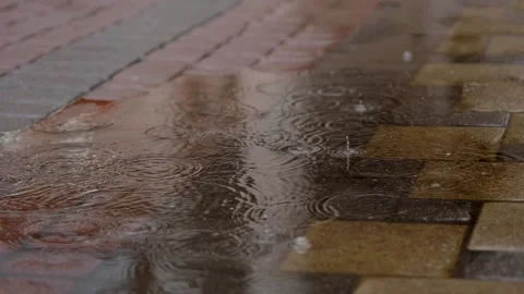 Raindrops fall on wet pavement with reflection. Stock Footage 165058058
