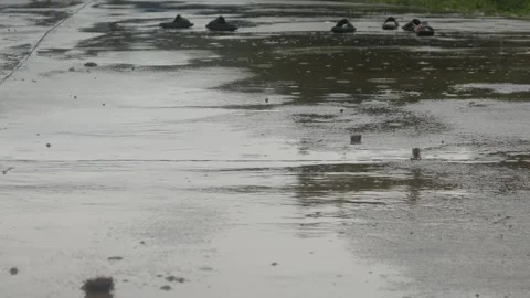 Raindrops falling on asphalt or concrete road surfaces Stock Footage 327193104