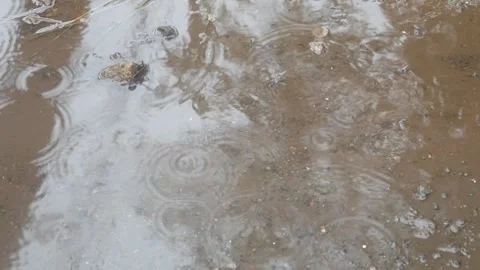 Raindrops falling on asphalt or concrete road surfaces Stock Footage 327193311