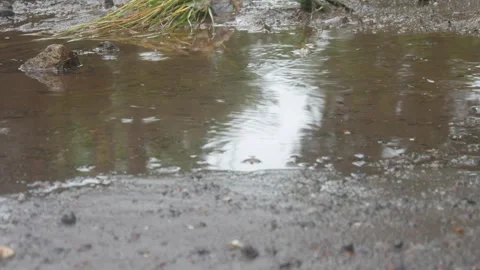 Raindrops falling on asphalt or concrete road surfaces Stock Footage 327193314