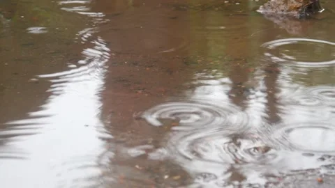 Raindrops falling on asphalt or concrete road surfaces Stock Footage 327193361