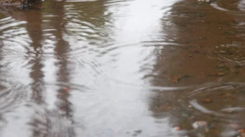 Raindrops falling on asphalt or concrete road surfaces Stock Footage 327193388