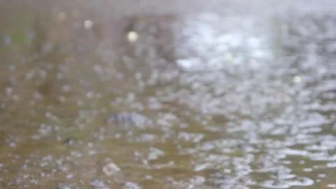 Raindrops falling on asphalt or concrete road surfaces Stock Footage 327193414