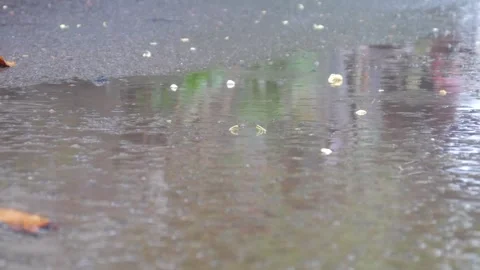 Raindrops falling on asphalt or concrete road surfaces Stock Footage 327193498