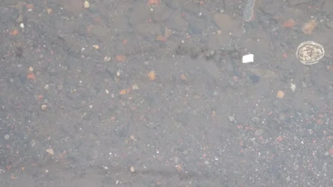Raindrops falling on asphalt or concrete road surfaces Stock Footage 327193500