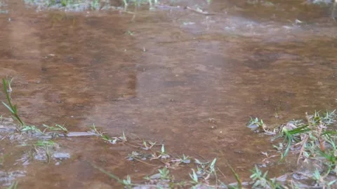 Raindrops falling on asphalt or concrete road surfaces Stock Footage 327193559