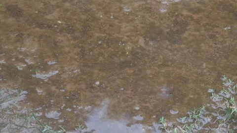 Raindrops falling on asphalt or concrete road surfaces Stock Footage 327193563