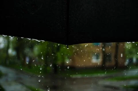 Raindrops falling from a black umbrella concept for bad weather Stock Photos