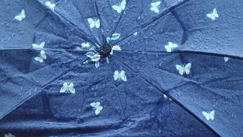 Raindrops falling on a blue butterfly pattern umbrella during a heavy downpour Stock Footage 345073203