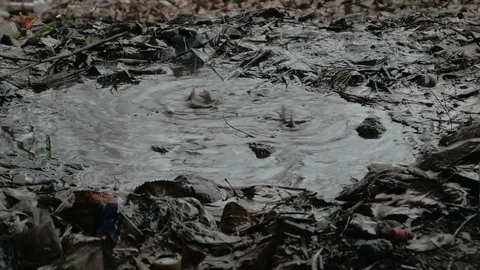 Raindrops falling from a bridge in a puddle of mud Stock Footage 126950841