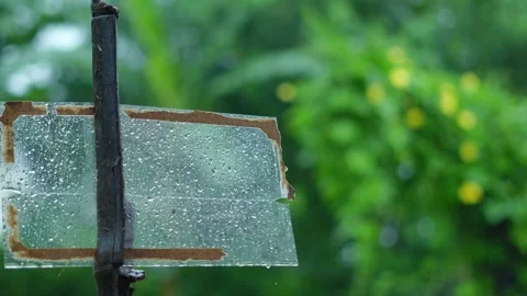Raindrops falling on broken transparent sign in a lush green garden Stock Footage 345072336