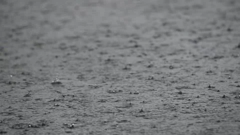 Raindrops Falling on a Calm Pond Surface Stock Footage 343671963