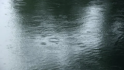 Raindrops falling on a calm water surface during a gentle rain Stock Footage 276099948