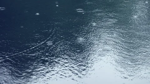 Raindrops falling on a calm water surface during a gentle rain Stock-Footage 276100000