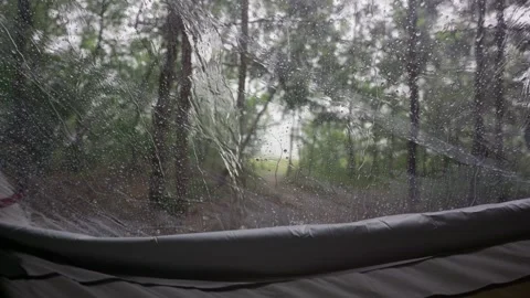 Raindrops Falling on Camping Tent Window with Green Forest Background Stock Footage 341989995
